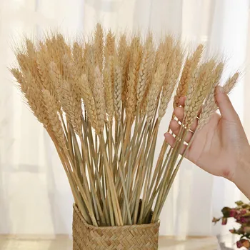 50 kos Posušen Cvet Dekor Suhi Snop Pšenice Posušeno Cvetje Velik Paket, Cvetje za Poroko Naravnih Doma Okraski Umetno Pšenice