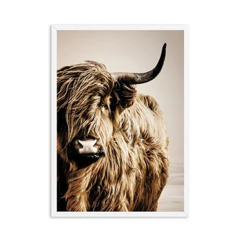 Pšenica Rastlin Nordijska Highland Krava Alpake, Plakati, Platna Slikarstvo Plakatov in Fotografij Krajine Wall Art za Dnevni Sobi Doma Dekor