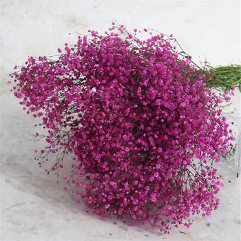 5 Barv pravi dotik cvetje za poroko poročni šopek naravno sušene dojenčki dih cvetje, šopke reed pampe Travo