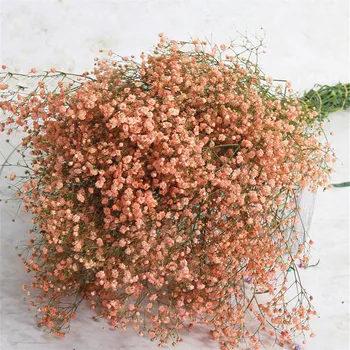 5 Barv pravi dotik cvetje za poroko poročni šopek naravno sušene dojenčki dih cvetje, šopke reed pampe Travo