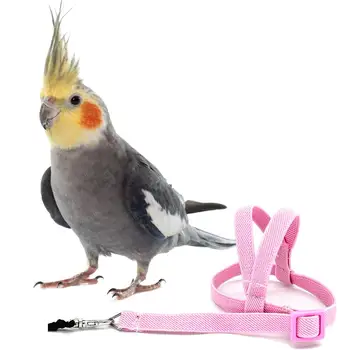 Vroče Prodaje Anti-ugriz Usposabljanje za Letenje Vrv Ptica Papiga Jjeza Povezka Kompleti Ultralahkih Pas Vrvici Mehko Prenosno Pet Playthings