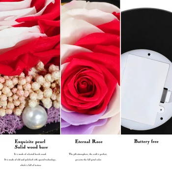 S Gift Box +Konzervirane Večno Rose Lepotica in Zver Pravi Cvet Poroko Dekor S svetlobo, Valentinovo, Božična Darila