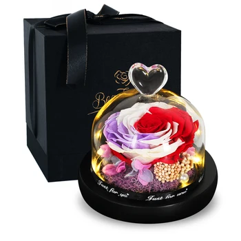 S Gift Box +Konzervirane Večno Rose Lepotica in Zver Pravi Cvet Poroko Dekor S svetlobo, Valentinovo, Božična Darila