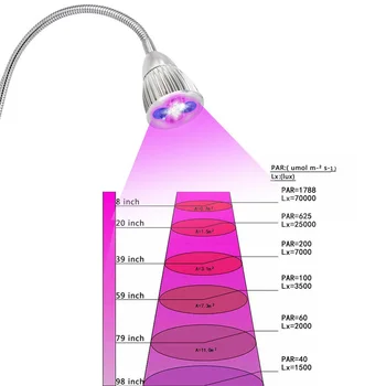 Rastejo Luči, LED Rastlin Luč 5W s 360 Stopnja Prilagodljiv Gooseneck in Desk Posnetek za Sobne Rastline Hydroponics Toplogrednih urad