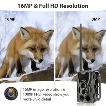 2G MMS SMTP Lovske Kamere Wildlife Kamere, SMS, Mobilni Brezžični Nadzor HC801M 20MP 1080P Night Vision