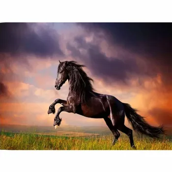 Uokvirjena DIY Barvanje Z Številkami Živali Konj Akrilnega Slikarstva Sodobno Sliko Doma Dekor Za dnevno Sobo 40x50cm